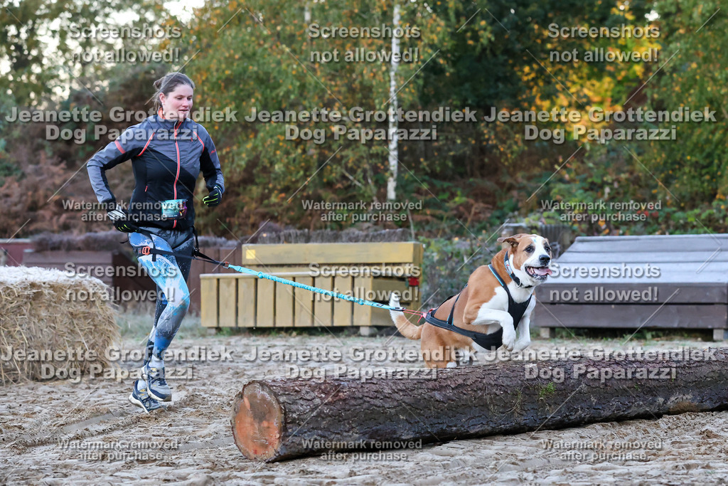 Dog Paparazzi - Strongdog 10-25-79 | Dog Paparazzi Jeanette Grottendiek Fotografie & Videografie - Realisiert mit Pictrs.com