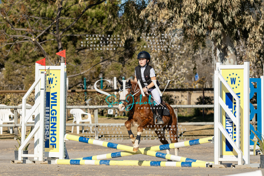 IMG_7822 | s-jay-photography - Realisiert mit Pictrs.com