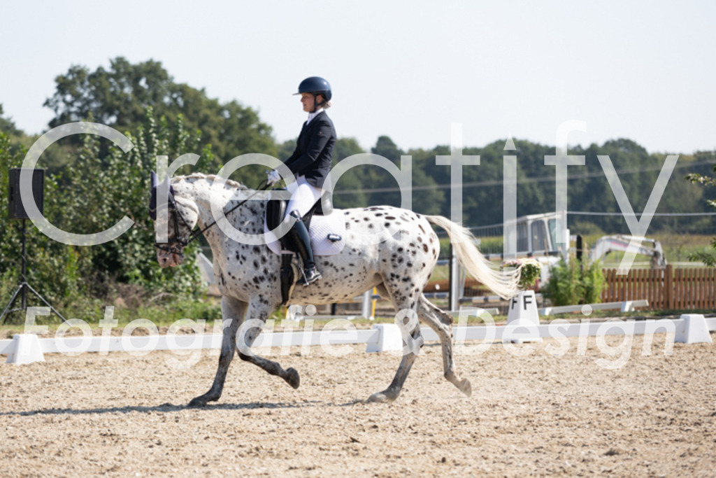 IMG_4694 | Creatify Fotografie