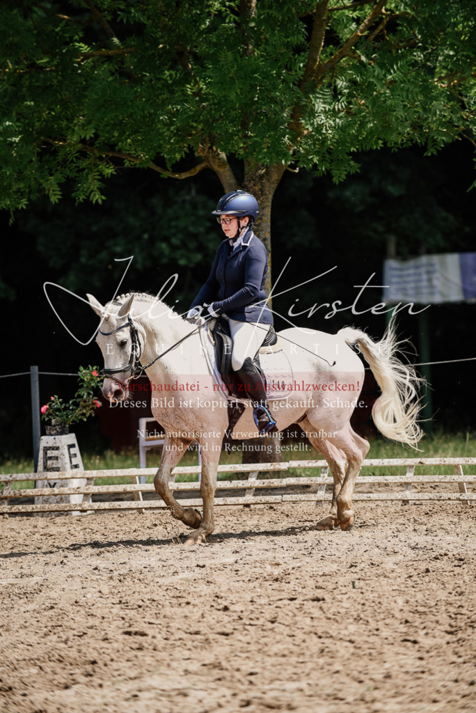 DSC_1828 | Pferde- und Turnierfotografie in Westsachsen. Pferdeportraits, Auftragszeichnungen und intuitive Kunst.