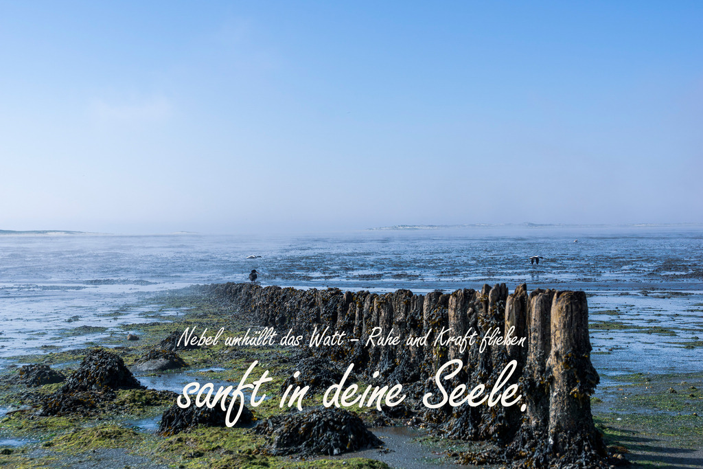 Meer Kalender 2026 - Nordseemotiv mit Text | Gestalten Sie Ihr Zuhause mit einzigartigen Bildern von Ostsee u. Nordsee – als Leinwandbild, Acryl, Alu-Dibond oder FineArt Hahnemühle, individuell anpassbar.