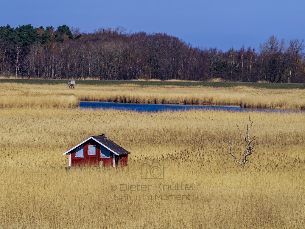 Haus in den Binsen | Ein Haius in den Binsen auf dem Darß bei Zingst - Realisiert mit Pictrs.com