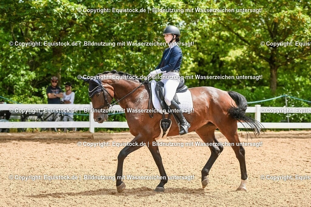 20230716_03_Dressurprfg. Kl.L - Tr._0257 | equistock