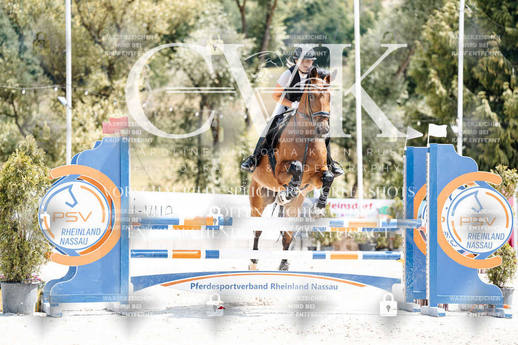 CK907588 | Turnierfotografie Pferdefotografie Trier Rheinland-Pfalz Pferdesport Reitsport Tierfotografie Sportfotografie Pferdevideo Pferdevideografie Equestrianvideography equestrianphotography  - Realisiert mit Pictrs.com