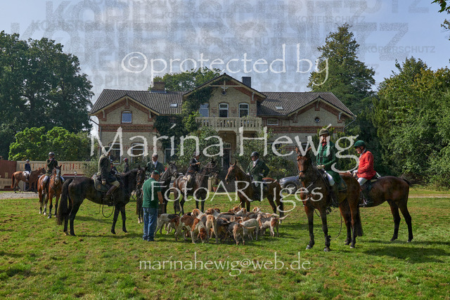 09-23 JAgd PerdölDSC02173_Marina Hewig | Fotografie, FotoArt, PferdesportArt, Pferdesportfotografie, Landschaftsfotografie, Reisefotografie, Reise, Pferde - Realisiert mit Pictrs.com