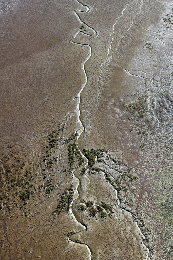 dr__0074567.jpg | JORK 01.09.2021 Uferbereiche mit Watt- Bereichen am Flußverlauf der Elbe in Jork Altes Land im Bundesland Niedersachsen, Deutschland. // Riparian areas with mudflats along the course of the river of the River Elbe in Jork Old Land in the state Lower Saxony, Germany. Foto: Daniel Reiter