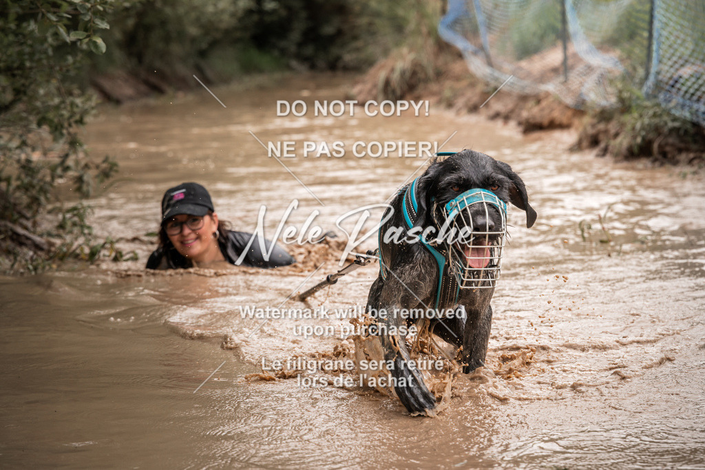 nelerasche_Hoope2026_So1030-1100_19 | nelerasche