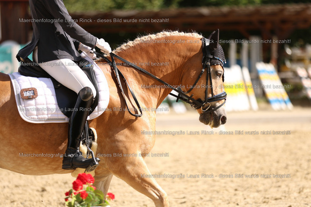 HG9A0421 | laurarinckfotografie - Realisiert mit Pictrs.com