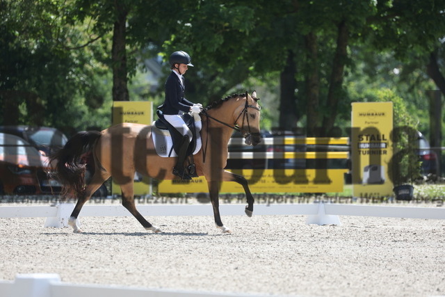 Rot am See_2024_Prfg.Nr.21_Qual.BCH_und_LCH_5-jähr.Ponys_Rosa Duong_Cocosita (5) | Alle Fotos der Reiterjournal Fotografin Doris Matthaes im Reiterjournal Online-Fotoshop. - Realisiert mit Pictrs.com