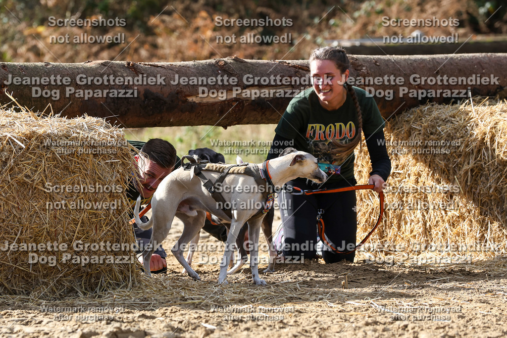 Dog Paparazzi - Strongdog 10-25-5770 | Dog Paparazzi Jeanette Grottendiek Fotografie & Videografie - Realisiert mit Pictrs.com