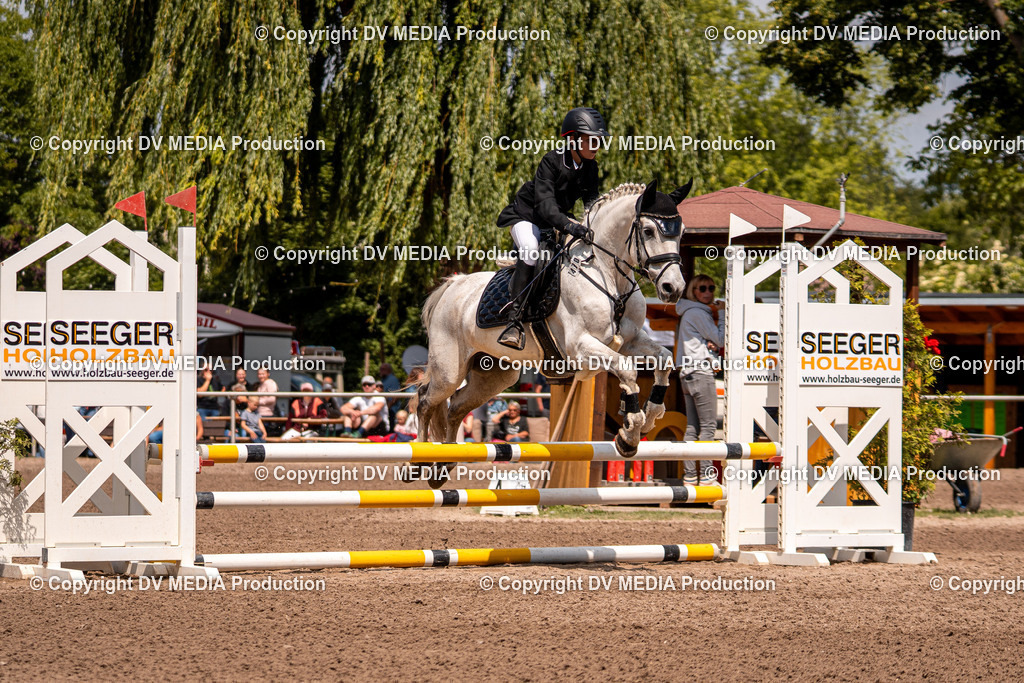 Eppelheim Tag 3-520 | dv-media-shop - Realisiert mit Pictrs.com