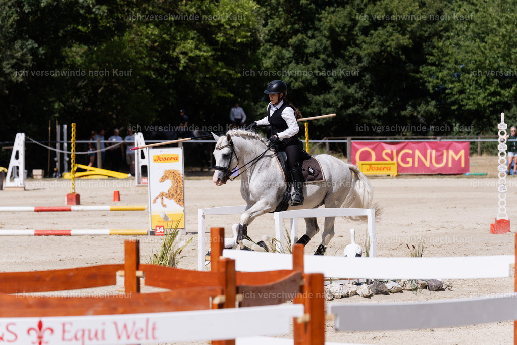 WM_SP_133_SinaFilmArt_IN07996 | working equitationturnier fotograf videograf stoibphotography marixx film working equitation deutschland reitsport turnierfotografie eventfotografie equestrian events