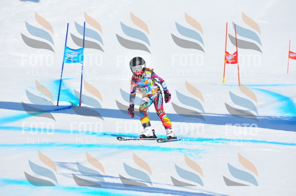 DSC_1101 | holidayphoto