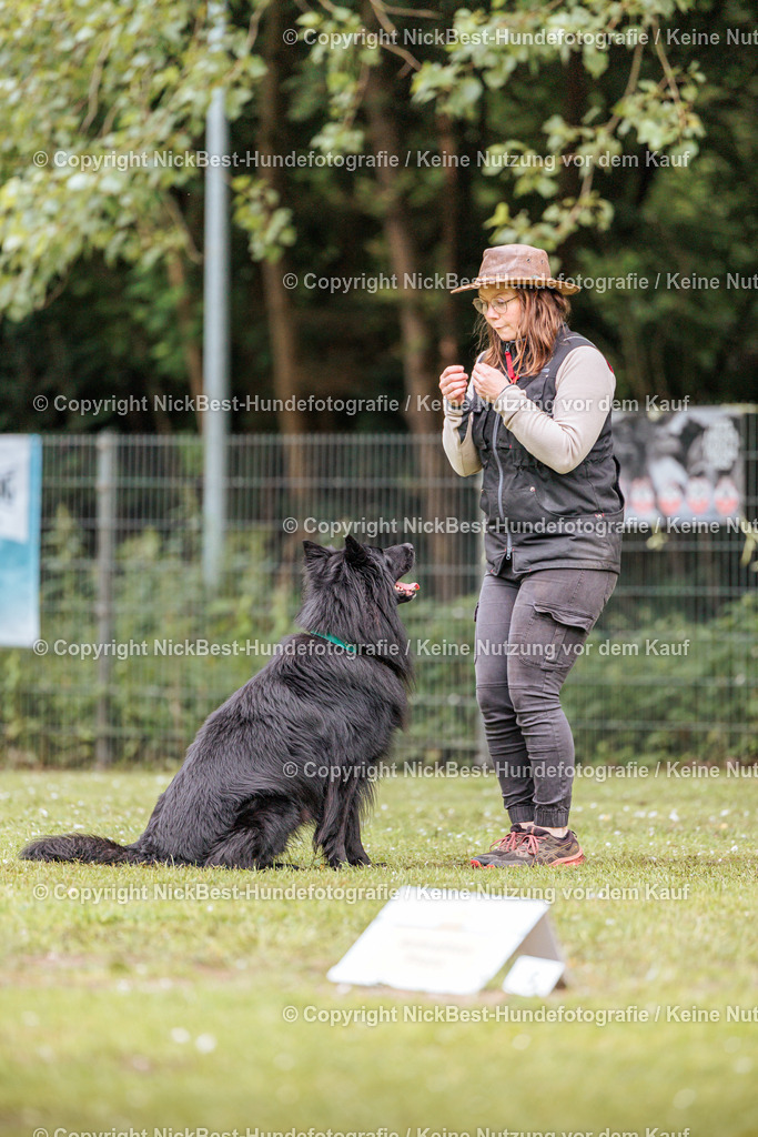 RO-Blumenthal-2026-Nickbest-Hundefotografie-1489 | Dein Hund! Dein Moment! Deine Erinnerungen! Hundefotografie in Bremen Blumenthal. Ich fange die besonderen Momente deines Vierbeiners ein – ob Indoor mit Blitzanlage oder in der freien Natur. Sicher dir dein Moment und dein Termin für eure Erinnerungen.
