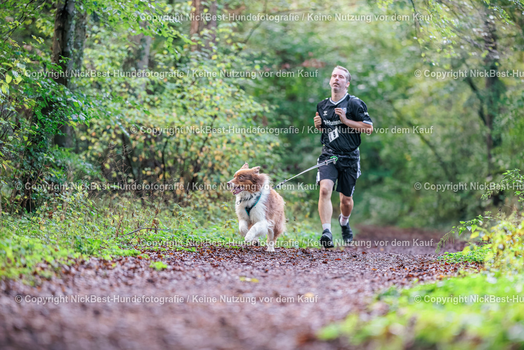 THS-HSV-Blumenthal-2026-Nickbest-Hundefotografie-0776 | Dein Hund! Dein Moment! Deine Erinnerungen! Hundefotografie in Bremen Blumenthal. Ich fange die besonderen Momente deines Vierbeiners ein – ob Indoor mit Blitzanlage oder in der freien Natur. Sicher dir dein Moment und dein Termin für eure Erinnerungen.