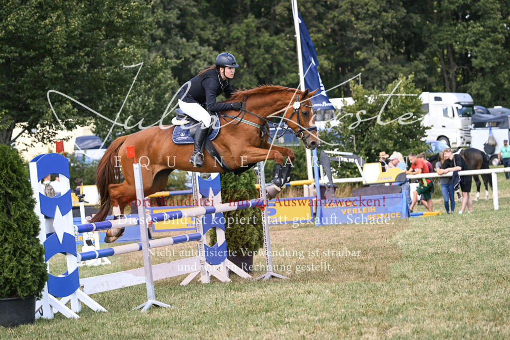 DSC_0366 | Pferde- und Turnierfotografie in Westsachsen. Pferdeportraits, Auftragszeichnungen und intuitive Kunst.