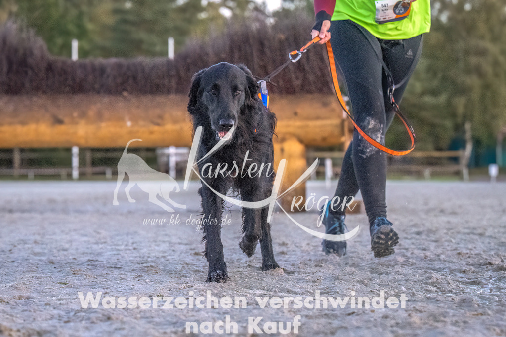 0805-00043 | kk-dogfotos