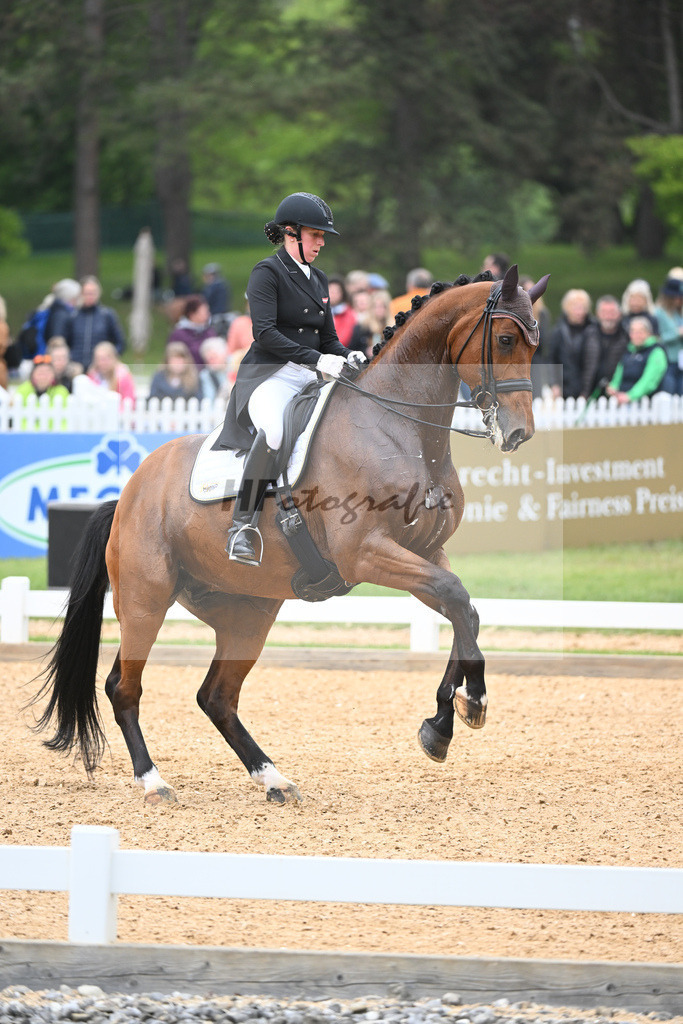 Neumayer_Zap Zap_11232674 | hf-fotografie - Realisiert mit Pictrs.com