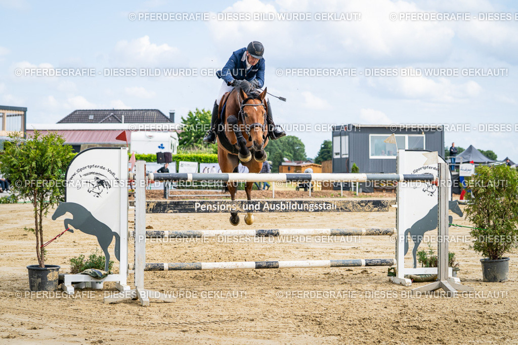 DSC07148 | Pferdegrafie