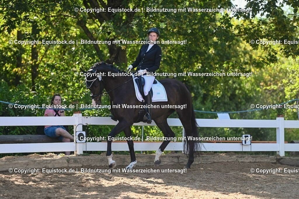 20230715_06_Dressurpferdeprfg. Kl.A_0374 | equistock