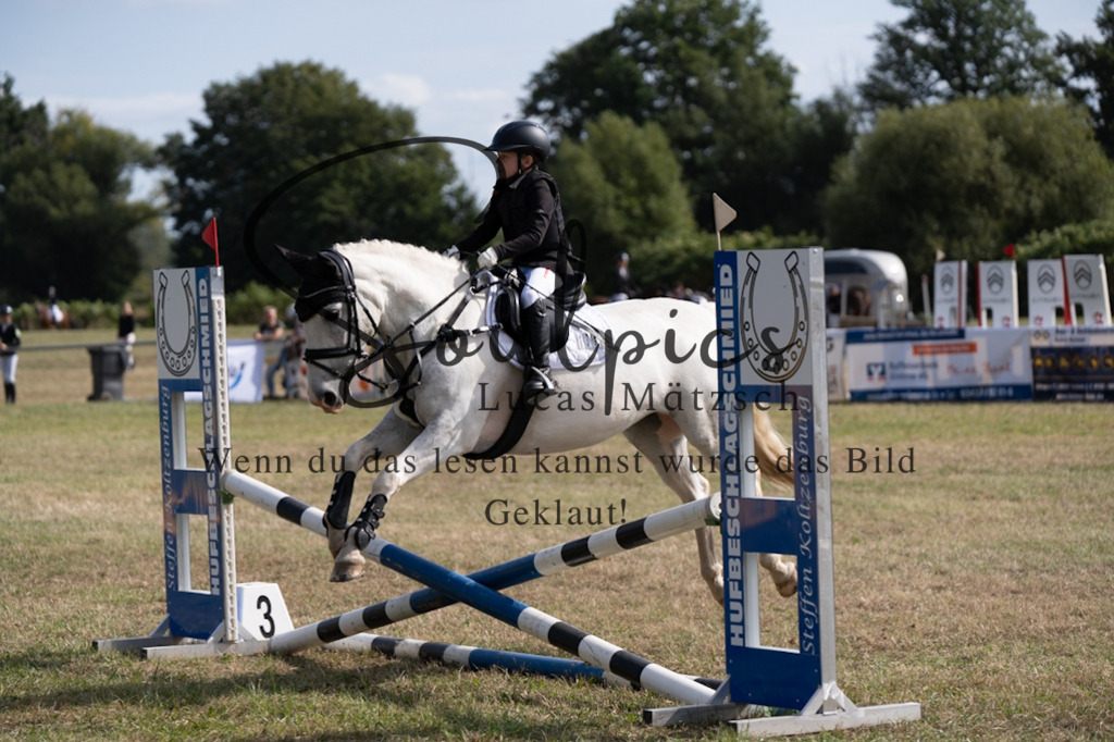 A7V08580 | Pferdefotograf