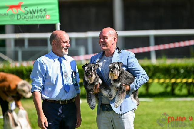 Dogshow CACIB Samstag in Aarau | Dogshow CACIB Samstag in Aarau. 24.06.2023 Foto: LeoWyden