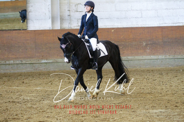 DKP43388 | Turniersportfotografie; Pferdefotografie; Dressurfotografie