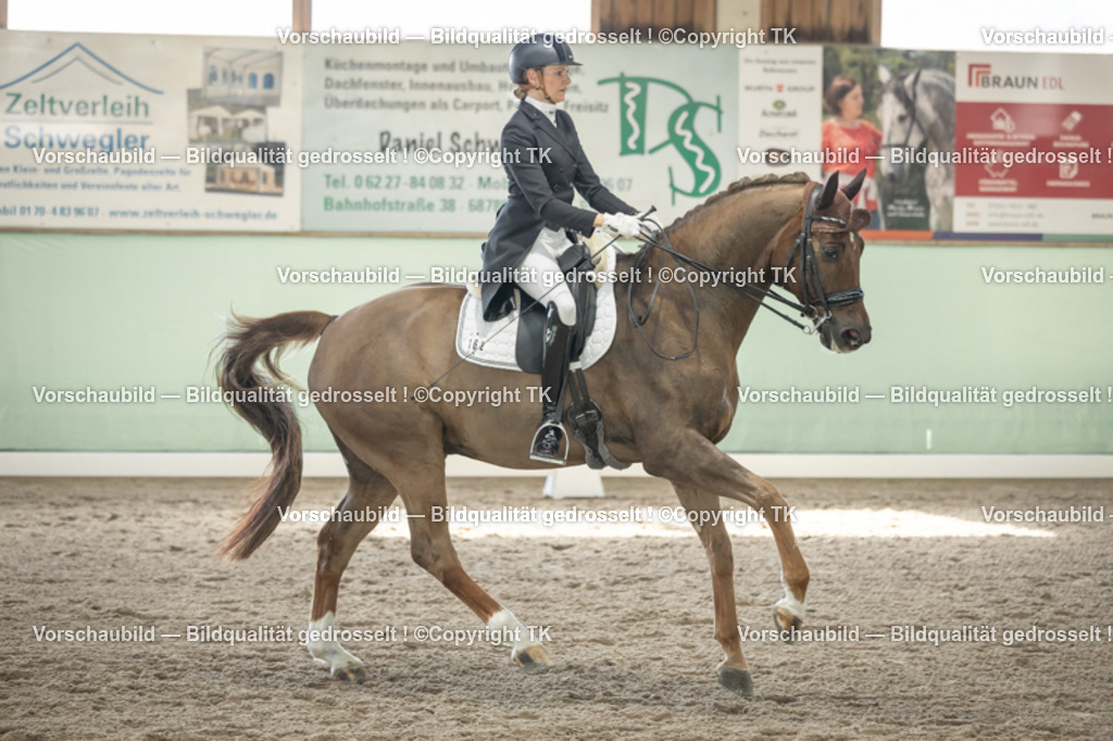 _D5A1307 | Emotionale Pferde- & People-Fotografie rund um Heidelberg, Leimen & Umgebung. Natürliche Fotos von Pferd, Mensch & Familie. Jetzt Termin sichern!