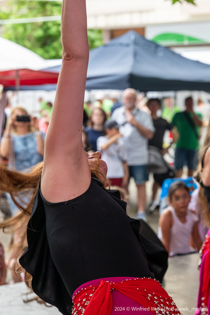 347_DSC_6529 | <Fotografie> <Video> <Film> <Winfried Bischoff> - Realisiert mit Pictrs.com