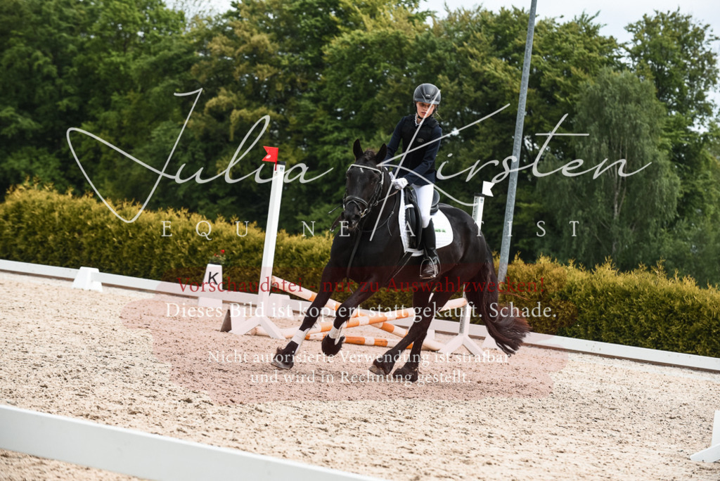 20230518_JK-Röhrsdorf-10-755 | Pferde- und Turnierfotografie in Westsachsen. Pferdeportraits, Auftragszeichnungen und intuitive Kunst.