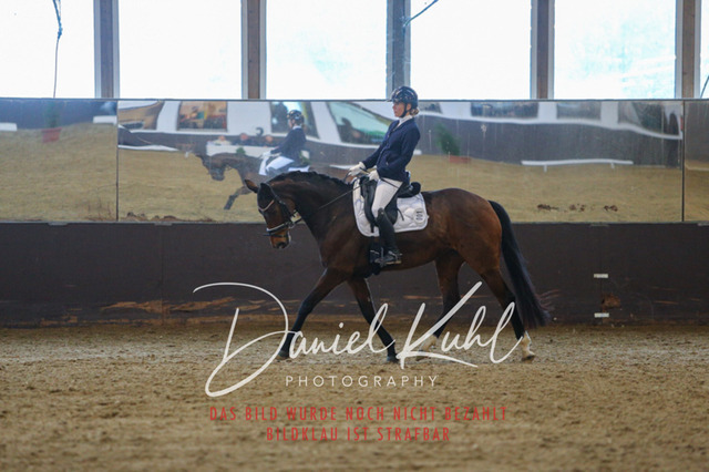 IMG_7744 | Turniersportfotografie; Pferdefotografie; Dressurfotografie
