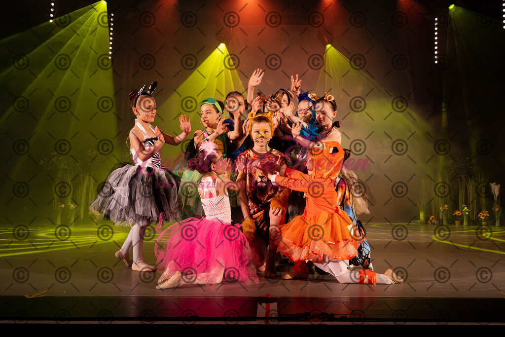 Ballettaufführung-1050 | Bildershop Lem'n Entertainment - Realisiert mit Pictrs.com