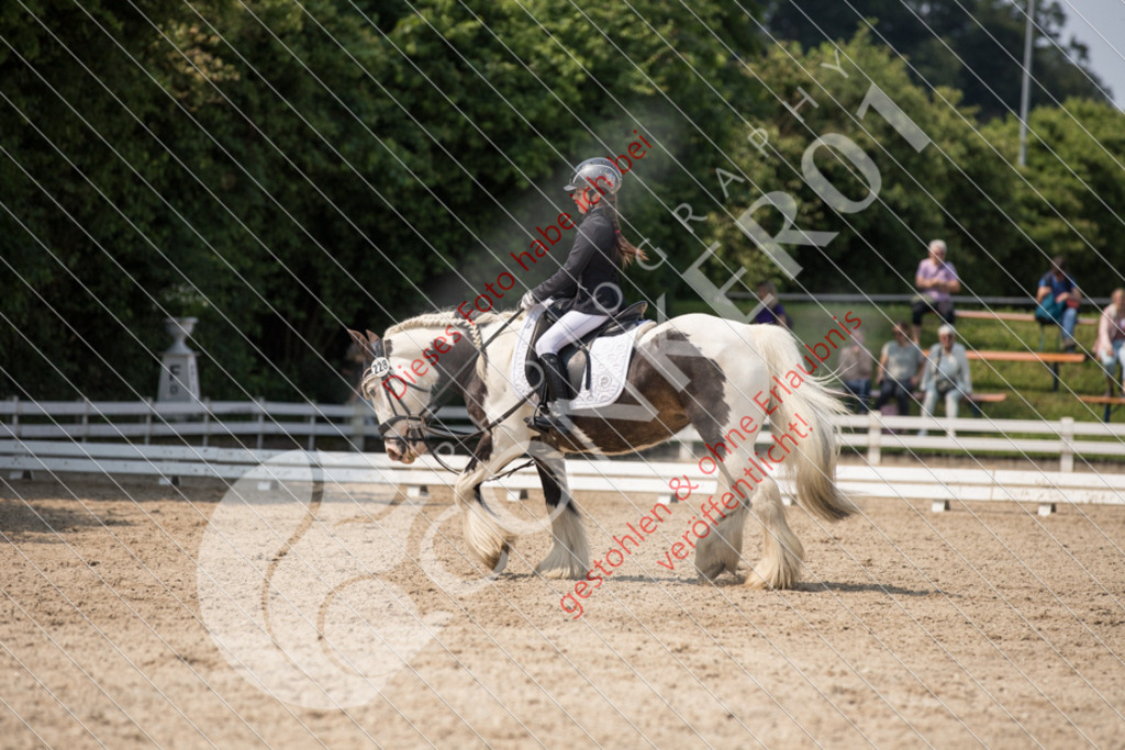 IMG_3333 | Sport-, Event- und Tierfotos in Profiqualität. Einfach auswählen, bestellen und herunterladen. Dein Moment – perfekt festgehalten.