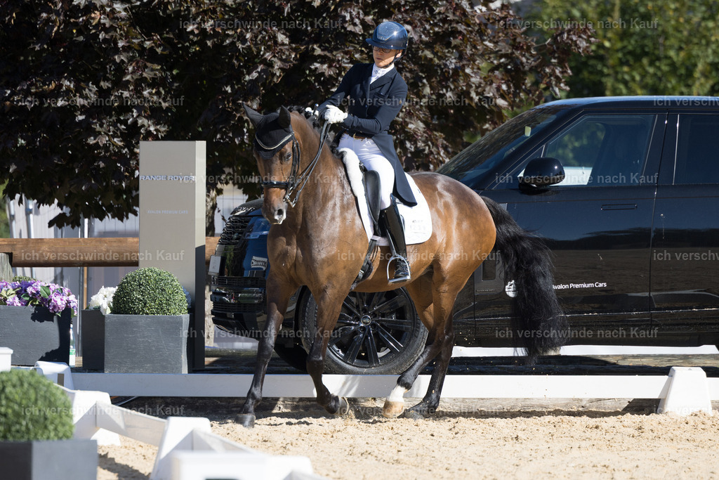 FHC2026_P07_239_17690 | working equitationturnier fotograf videograf stoibphotography marixx film working equitation deutschland reitsport turnierfotografie eventfotografie equestrian events
