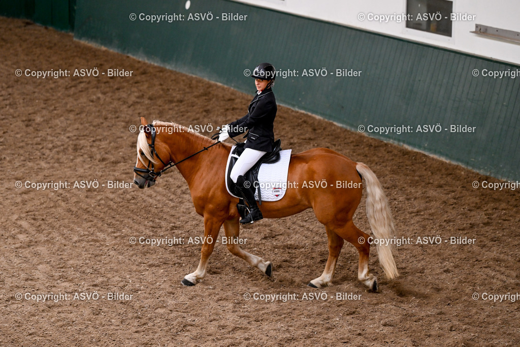ASVÖ_ Reiten Bezirksmeisterschaft_ 24.08.2025-1 | 24.08.2025, AUT, ASVÖ, Reiten Bezirksmeisterschaft 2025Dressur und Springreiten©fodo.media / Harald Dostal - Realisiert mit Pictrs.com