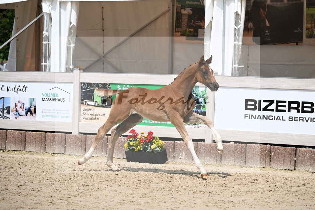 Don Olympic x Benetton Dream_HF_Groll_12250658 | hf-fotografie - Realizzato con Pictrs.com