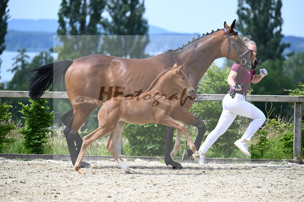 Va Bene x Bordeaux_SF_Lehmann_19240400 | hf-fotografie - Realisiert mit Pictrs.com