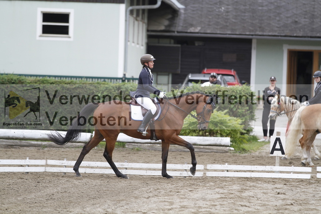 _MG_0875 | equestrian-live-com