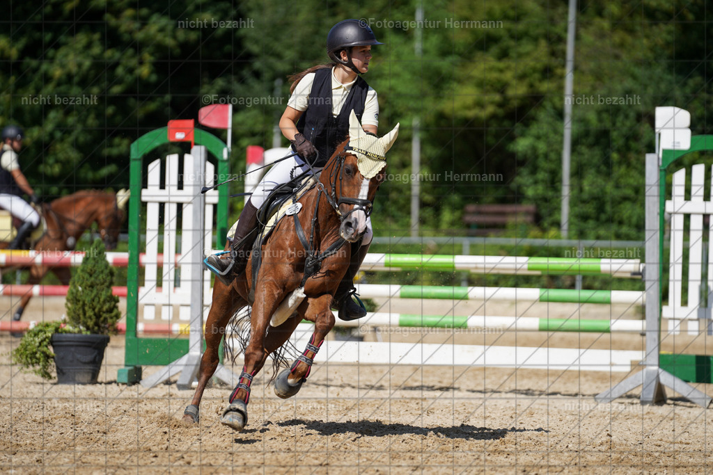 20240824-FAH08346 | Thierhaupten 2024, Bayerisches Landesponyturnier, Turnierbilder, Ponybilder, Turnierfotografen Bayern, Fotoagentur Herrmann