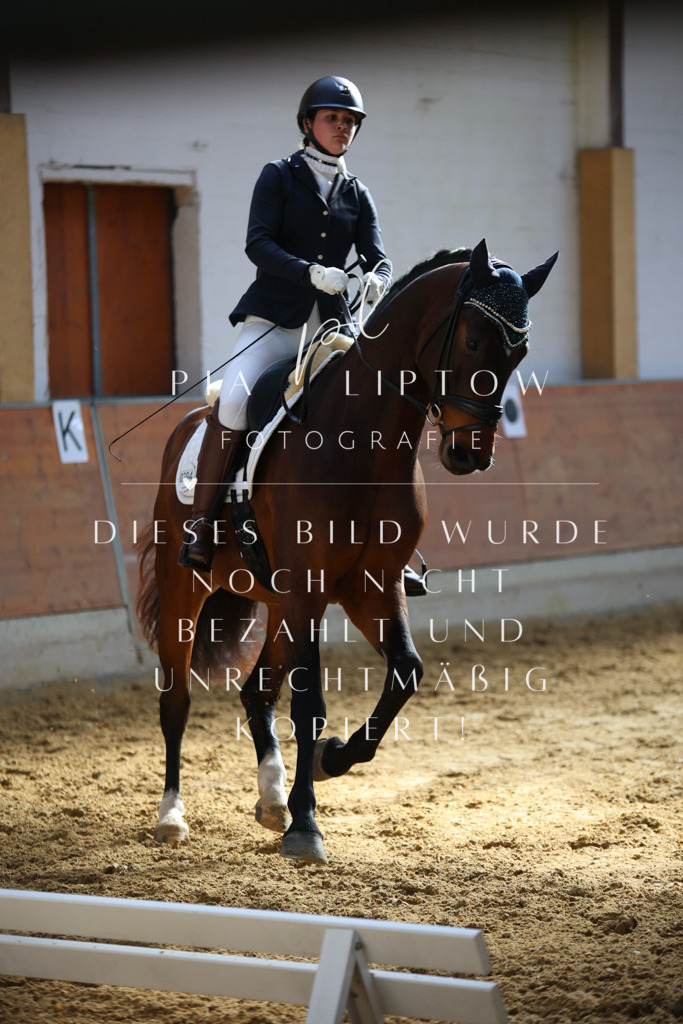 IMGT6453 | pl-fotografie