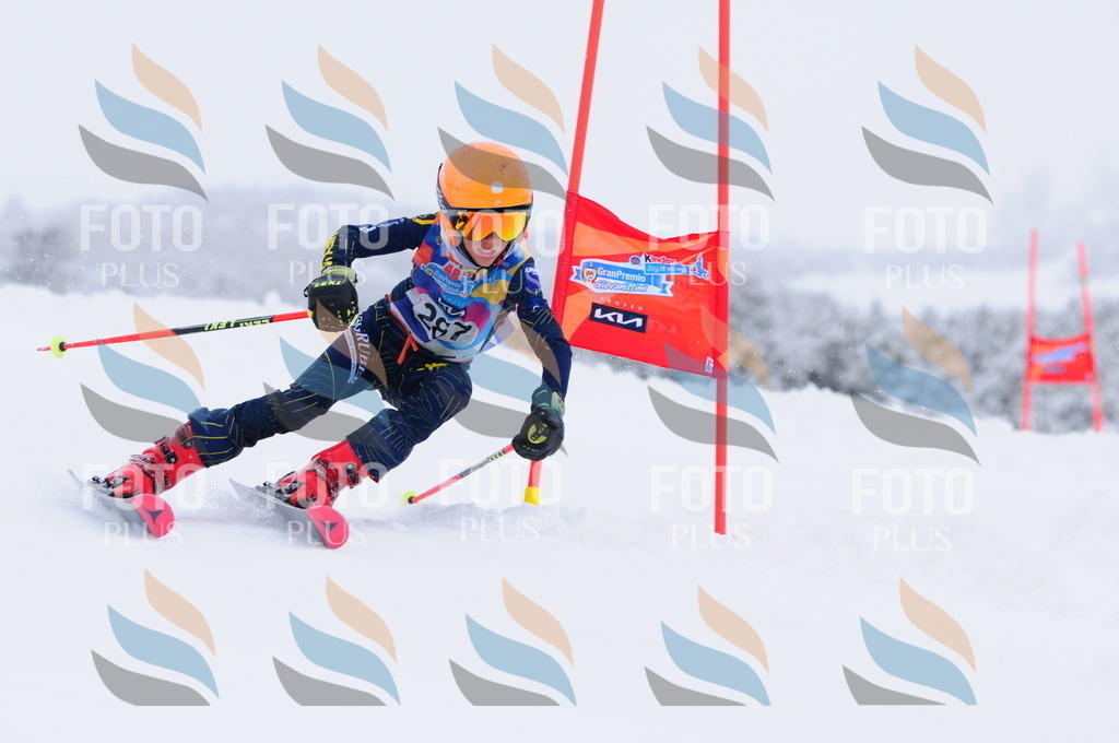 C3020 | holidayphoto