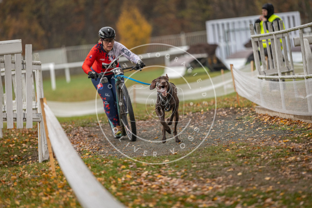 CaniXpix_DV3A8405 | Hundefotografie, Tierfotograf, Pfotenfotografie, Fotoshooting Hund, Hunde Portrait, Hundesport, Hundeportraits, Heideshooting, Hunde, Sportfotograf, Hundefotograf, Turnierhundsport, THS,  - Realisiert mit Pictrs.com