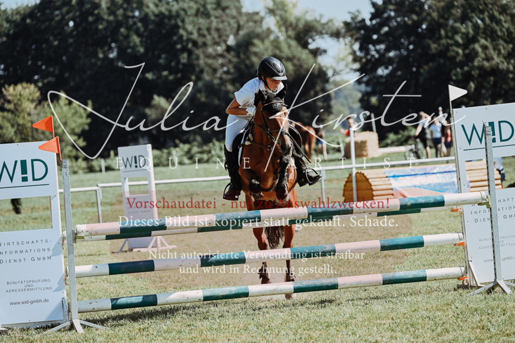 DSC_6162 | Pferde- und Turnierfotografie in Westsachsen. Pferdeportraits, Auftragszeichnungen und intuitive Kunst.