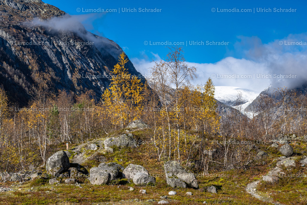10047-10054 - Am Jostedalsbreen - Norwegen | Stockfoto und Bilderpool mit Bildmaterial aus Deutschland, dem Harz, Halberstadt, Quedlinburg, Wernigerode und weltweit. Qualitativ hochwertige und professionelle Fotos anschauen und kaufen. - Realisiert mit Pictrs.com