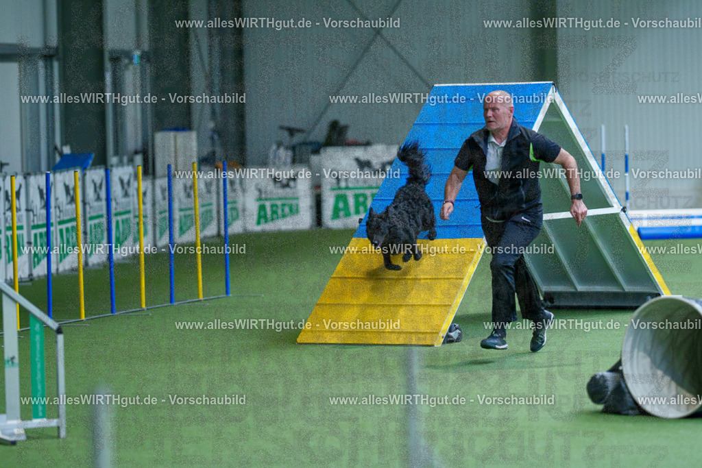 @allesWIRTHgut_Tierfotografie - www.allesWIRTHgut.de - 2604261525-7R505552 | Professionelle Tierfotografie in Mönchengladbach von Daniel Wirth (allesWIRTHgut). Liebevolle & natürliche Bilder von Hunden & Katzen für unvergessliche Erinnerungen.