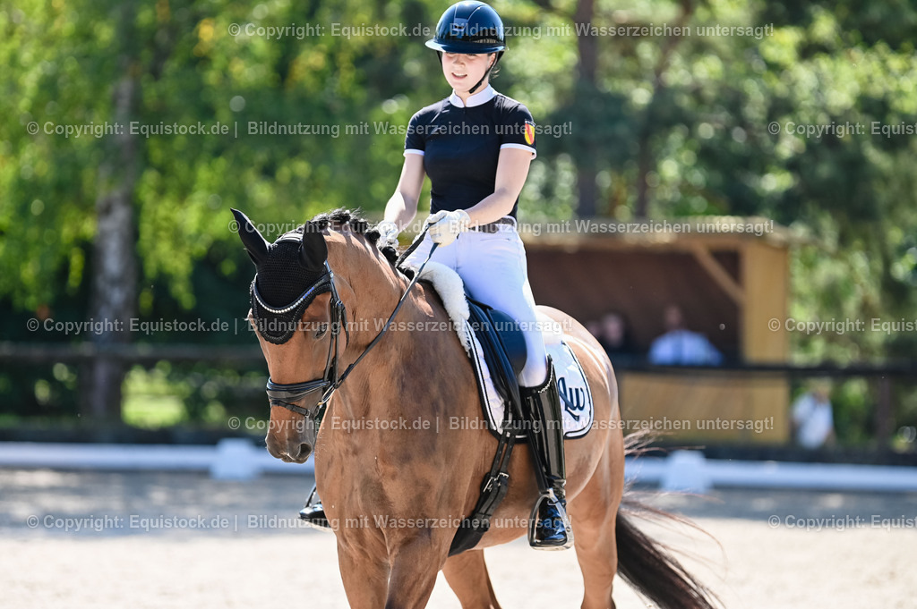 20230908_06_Dressur-L-Trense_0784 | equistock