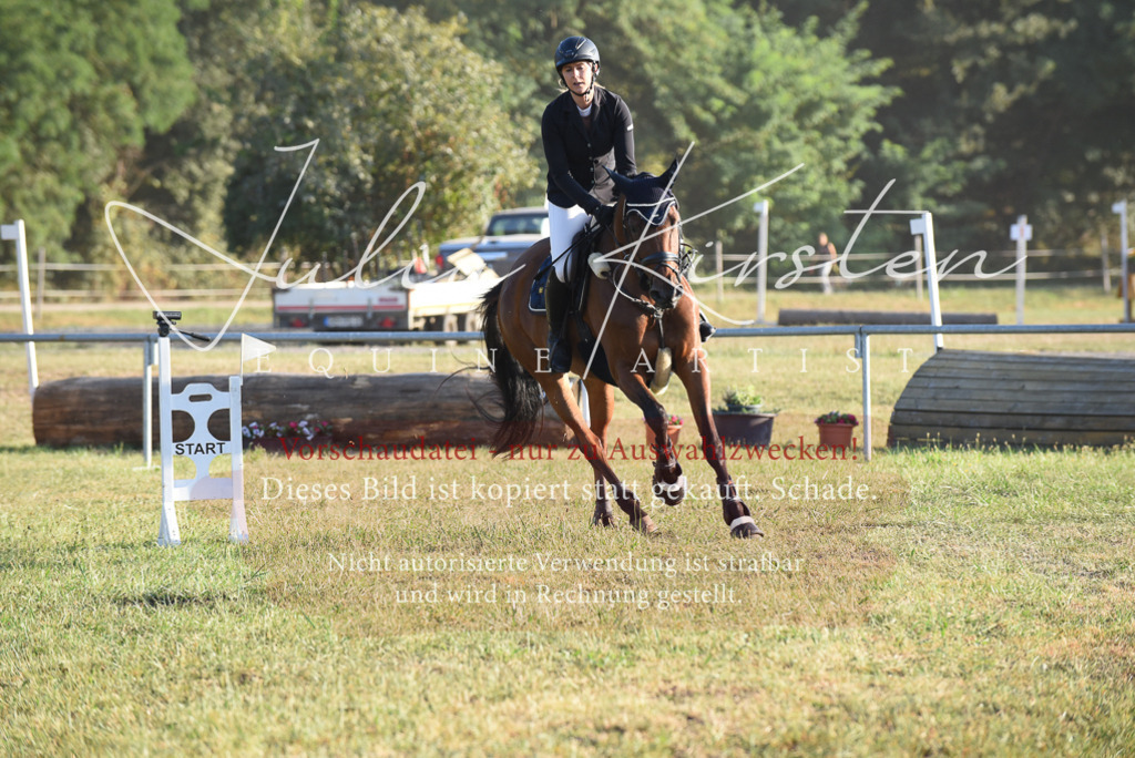 DSC_4861 | Pferde- und Turnierfotografie in Westsachsen. Pferdeportraits, Auftragszeichnungen und intuitive Kunst.