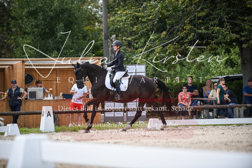 DSC_9064 | Pferde- und Turnierfotografie in Westsachsen. Pferdeportraits, Auftragszeichnungen und intuitive Kunst.