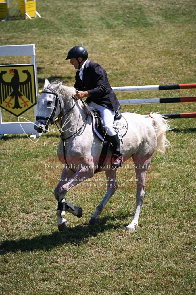 DSC_0003 | Pferde- und Turnierfotografie in Westsachsen. Pferdeportraits, Auftragszeichnungen und intuitive Kunst.