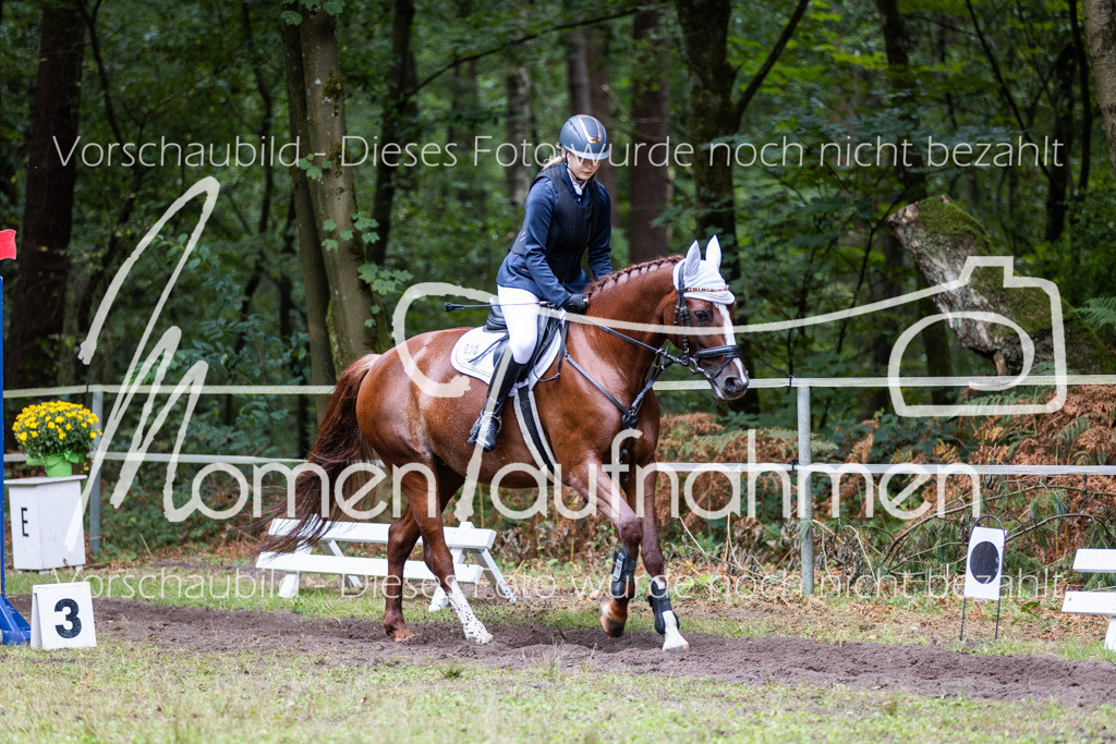 HB-Springreiter-001 | MomenTaufnahmen Pferdesportfotos